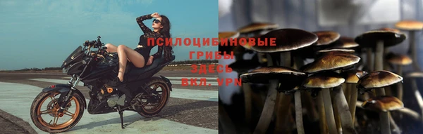 спиды Абаза