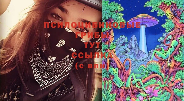 спиды Абаза