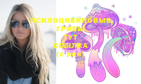 хмурый Алексин
