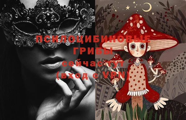 спиды Абаза