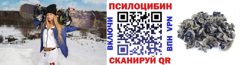ссылка на мегу маркетплейс купить закладку Донской Псилоцибиновые грибы GOLDEN TEACHER